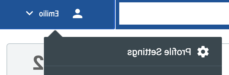 name menu showing profile settings option at the top of the menu